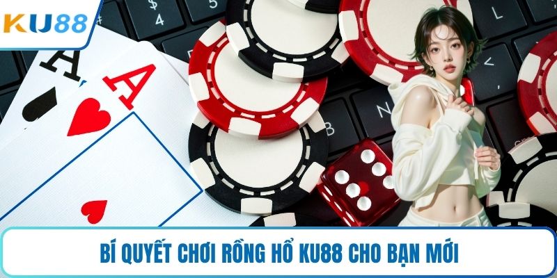 Bí quyết chơi rồng hổ KU88 cho bạn mới
