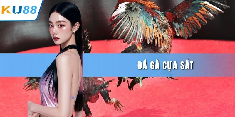 Đá gà cựa sắt