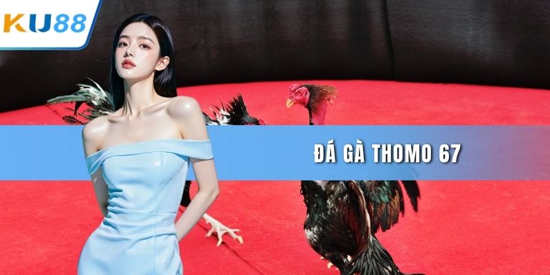Đá gà Thomo 67