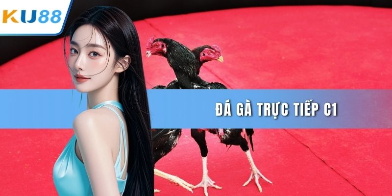 Đá gà trực tiếp C1