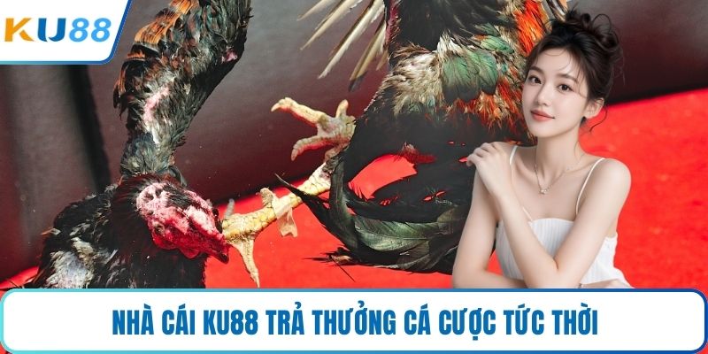 Nhà cái KU88 trả thưởng cá cược tức thời