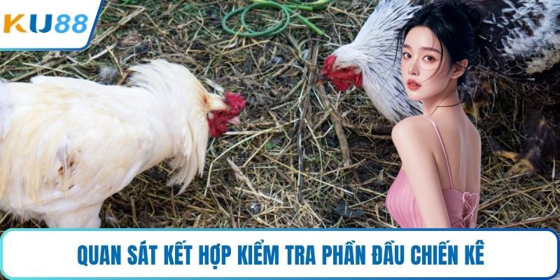 Quan sát kết hợp kiểm tra phần đầu chiến kê