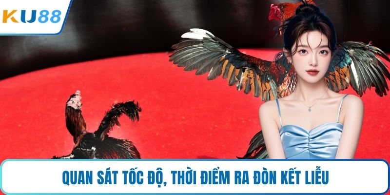 Quan sát tốc độ, thời điểm ra đòn kết liễu