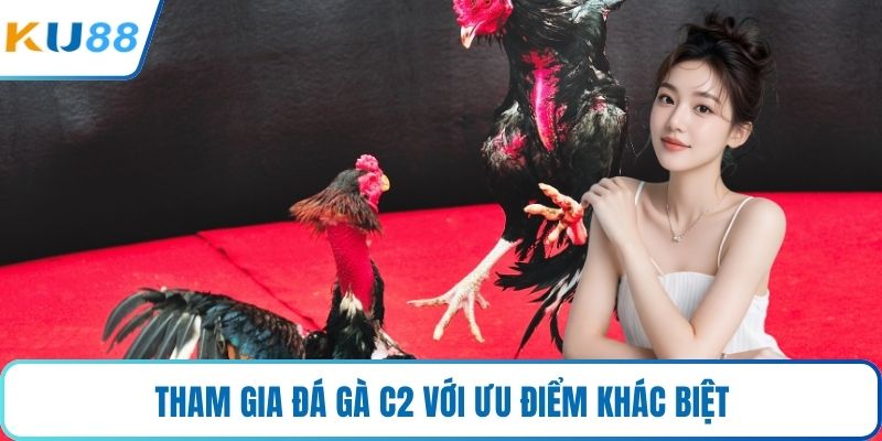 Tham gia đá gà C2 với ưu điểm khác biệt