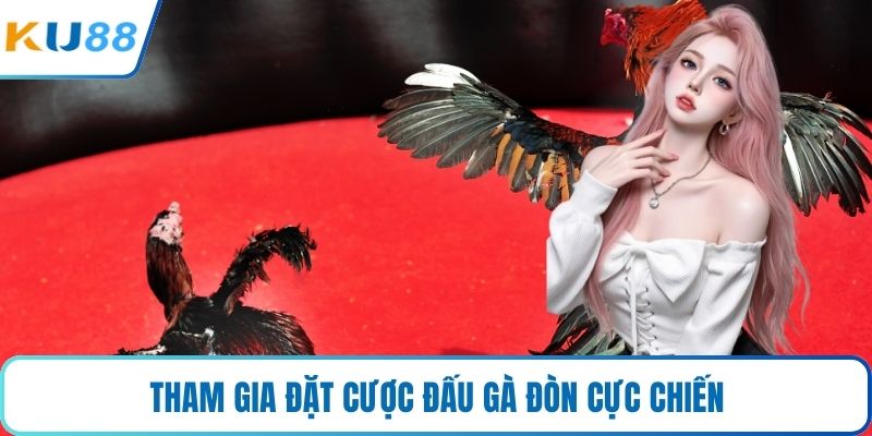 Tham gia đặt cược đấu gà đòn cực chiến