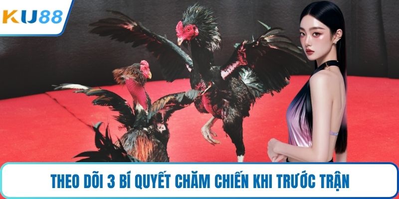 Theo dõi 3 bí quyết chăm chiến khi trước trận