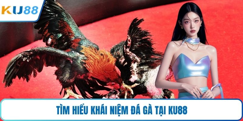 Tìm hiểu khái niệm đá gà tại KU88