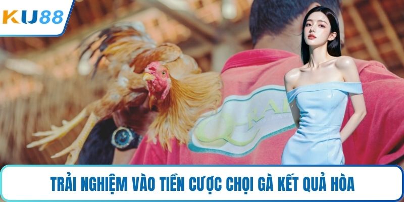 Trải nghiệm vào tiền cược chọi gà kết quả hòa