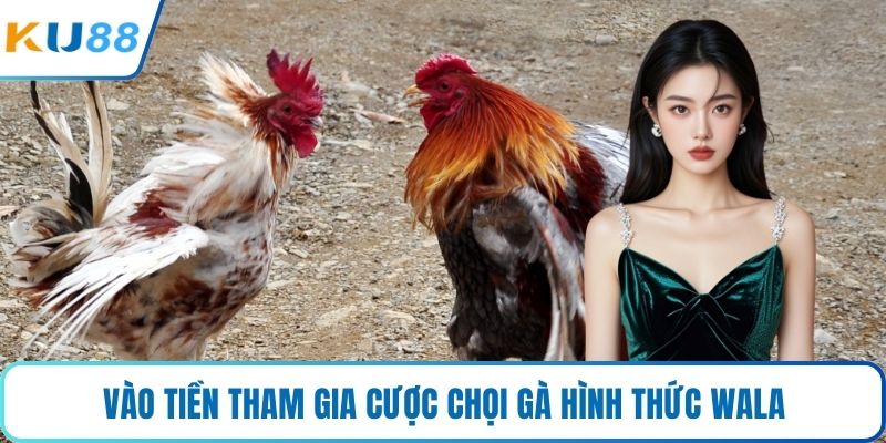 Vào tiền tham gia cược chọi gà hình thức Wala